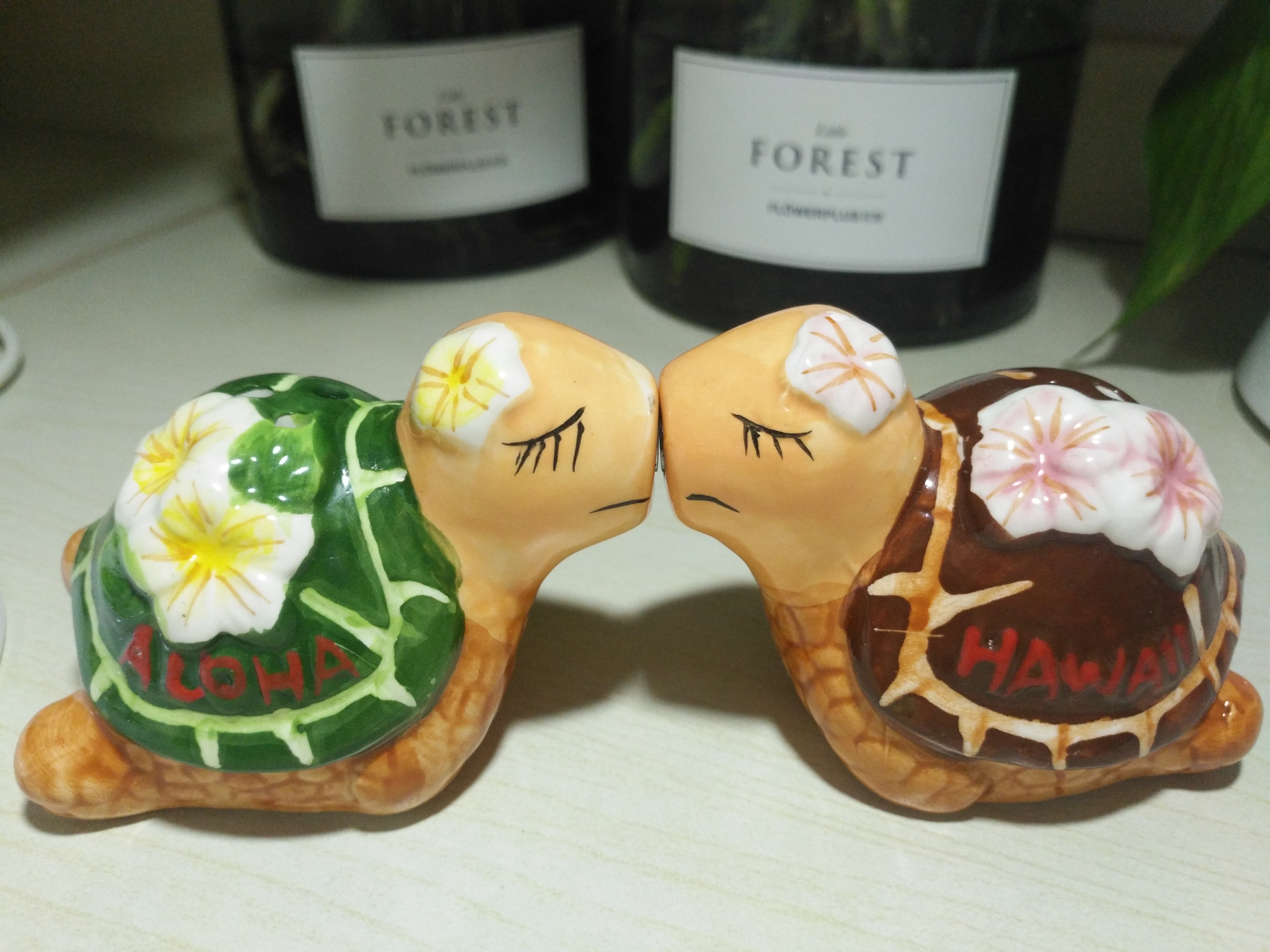 送给宝宝的夏威夷小乌龟