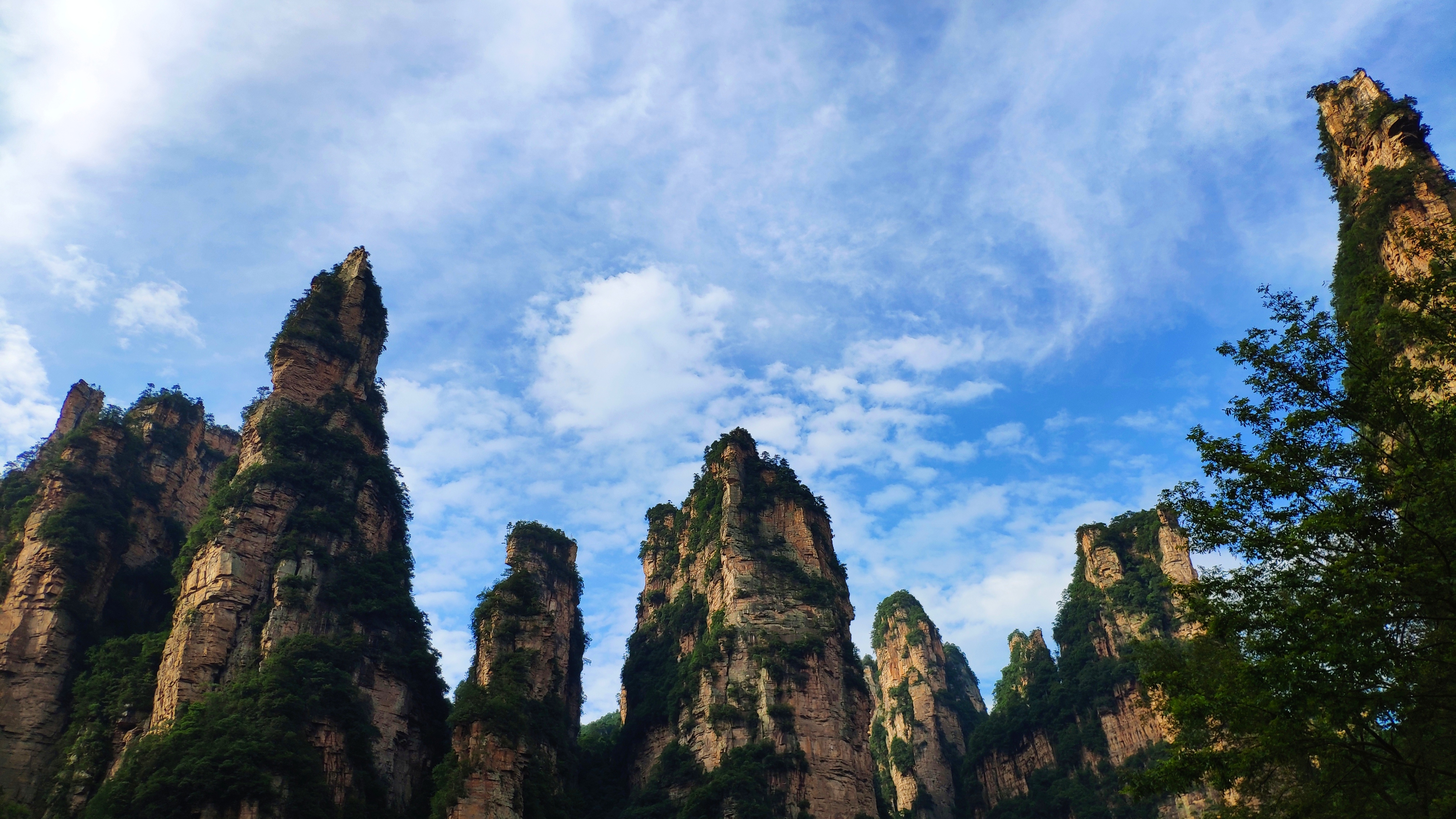 金鞭溪这边的峡谷实在是天然氧吧，散步非常舒适。